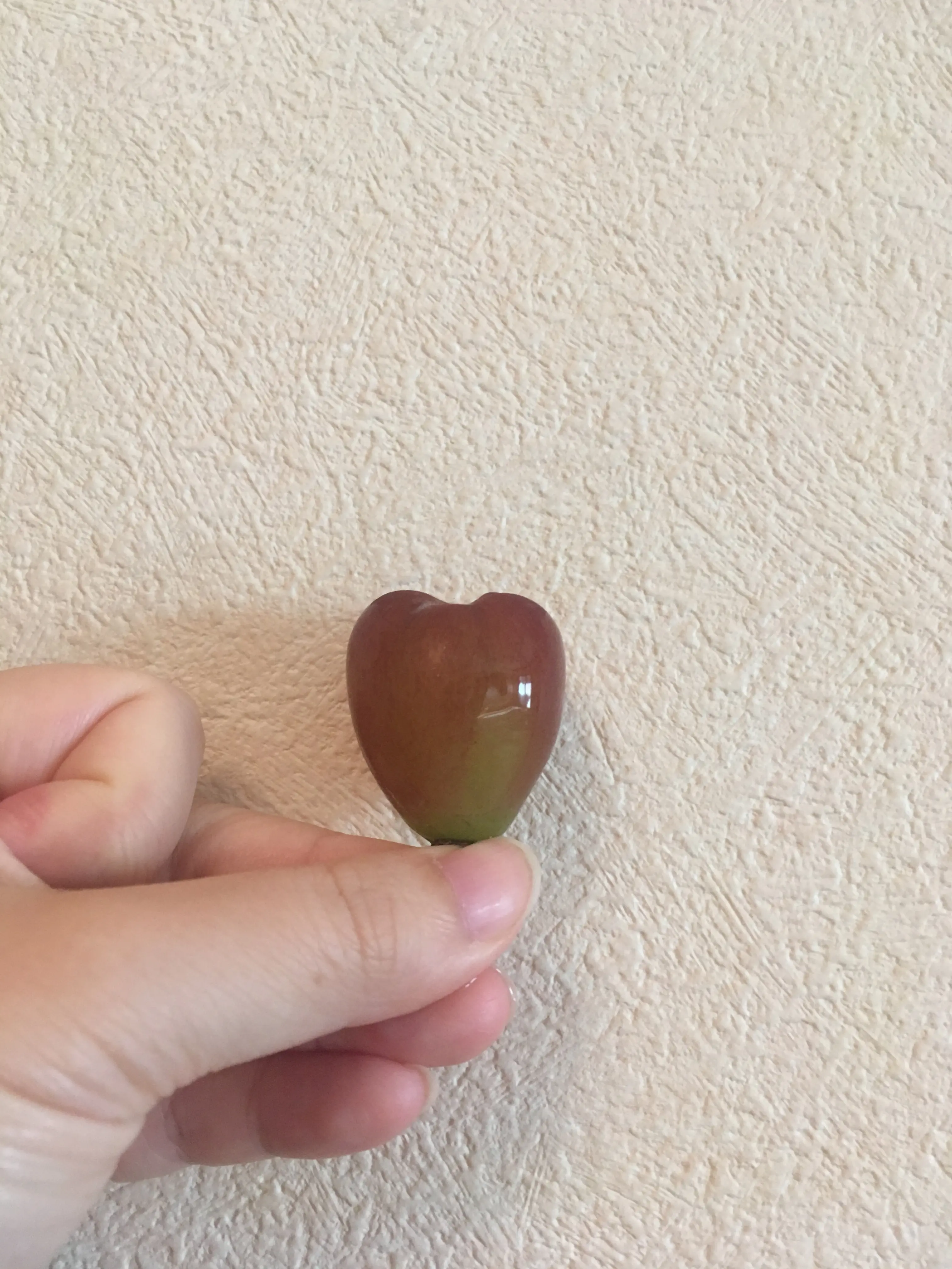 秋の味覚でフォトジェニック&はっぴーをゲット♡_1
