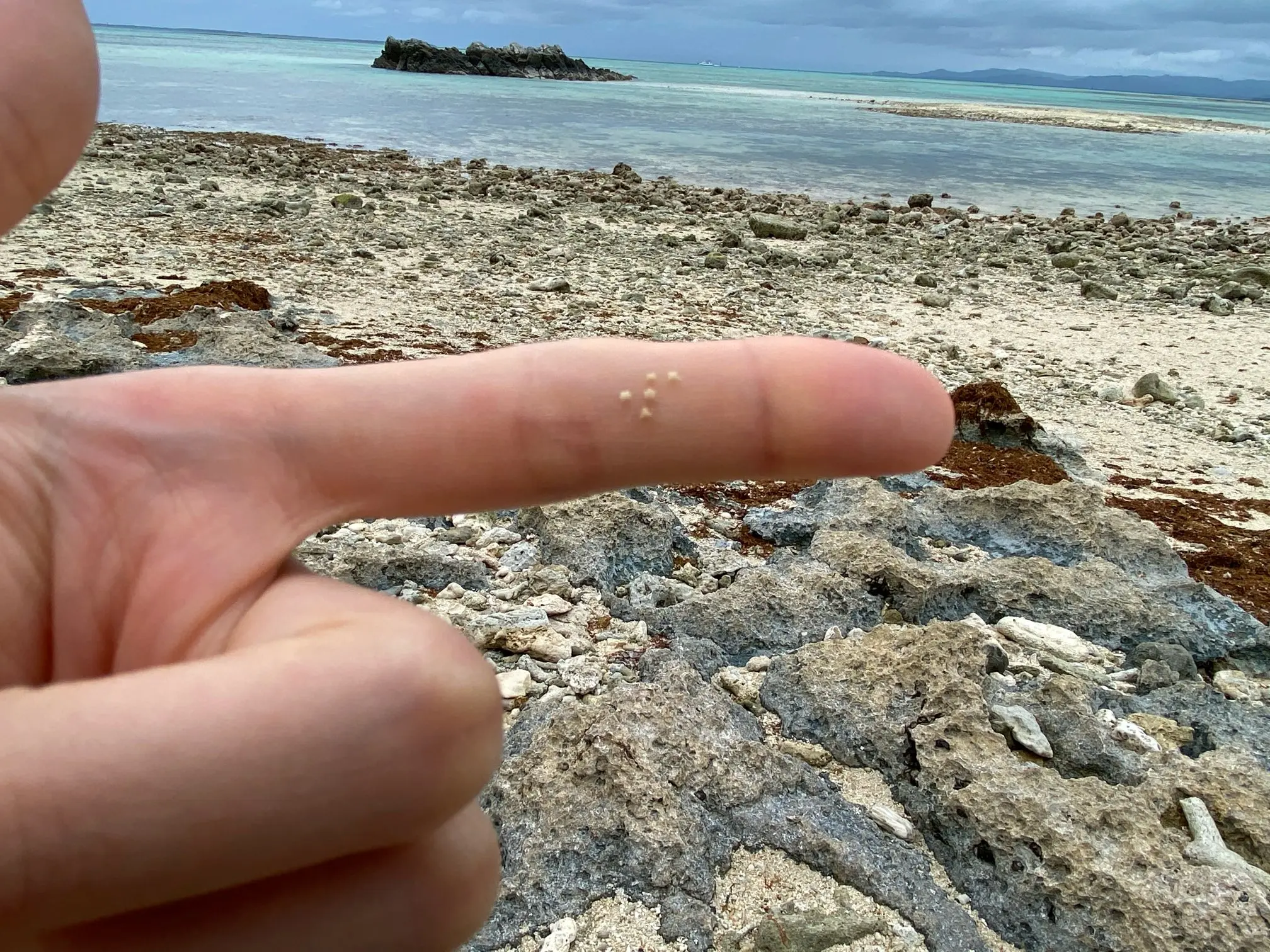 【沖縄】女一人で何もしない旅に行ってみた《最終編:竹富島》_4