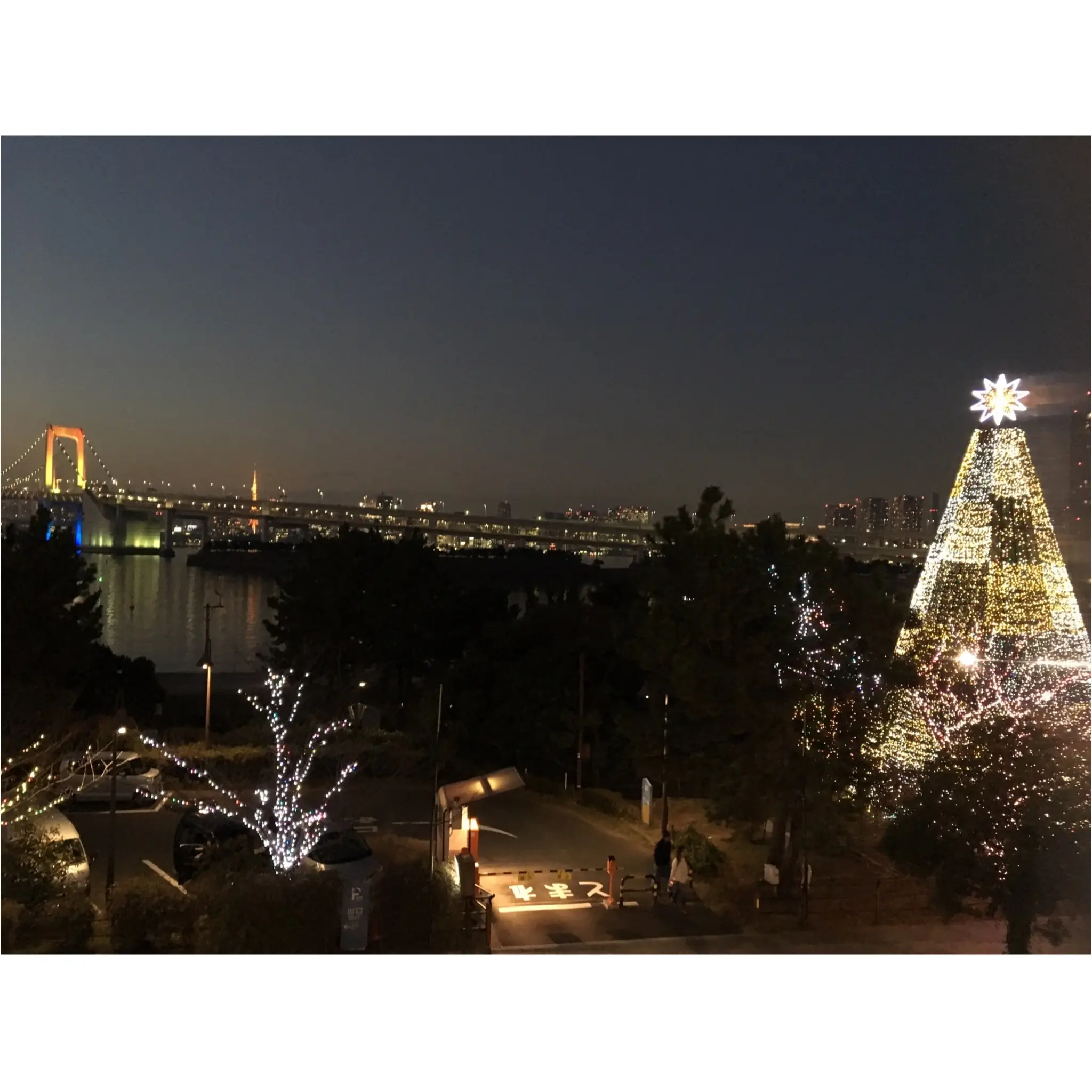 ※今週末まで※クリスマスデートにオススメ!!●●●で楽しむ最高にロマンチックな10のイルミネーション★_8