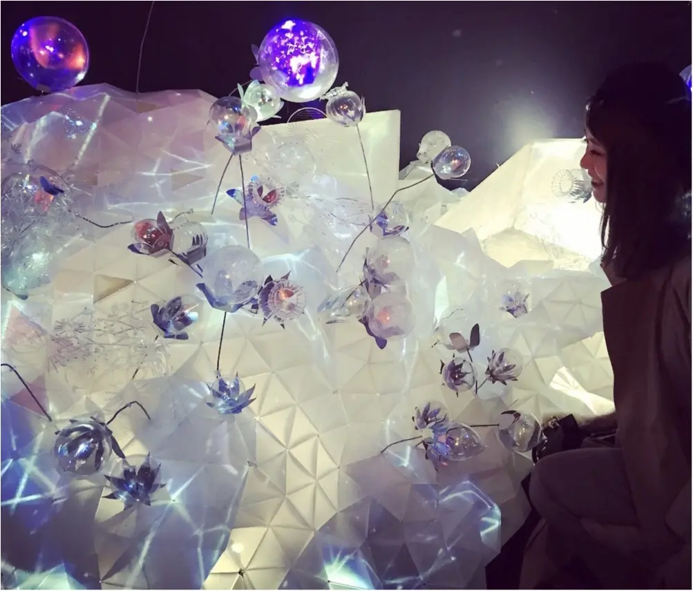 【Flower by NAKED】生花と映像のコラボ♡ フォトジェニックな秋に咲く桜を見てきました♡_6