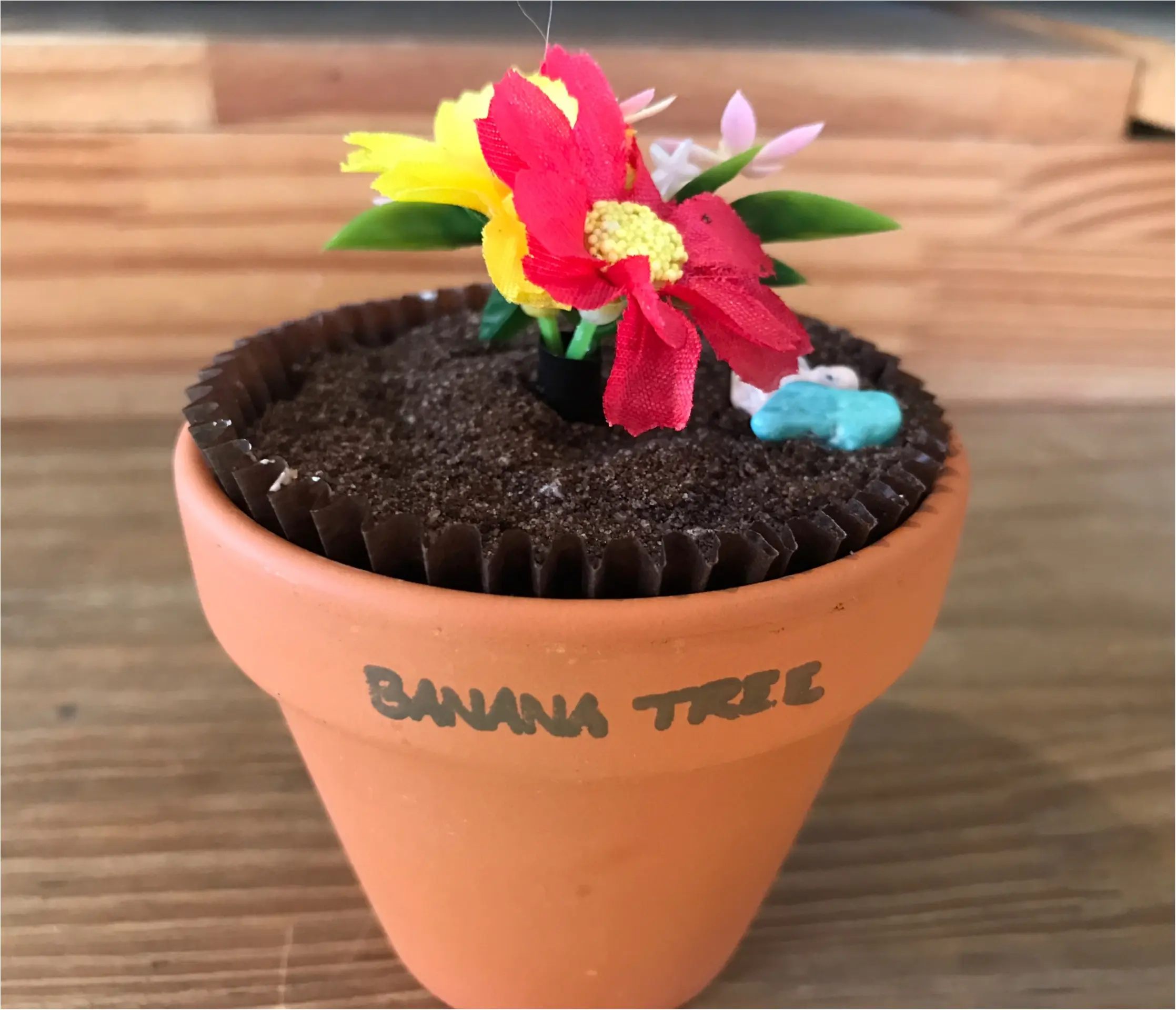 ★え!これ食べられるの⁉︎見た目は完全植木鉢。実は○○なんです★_1