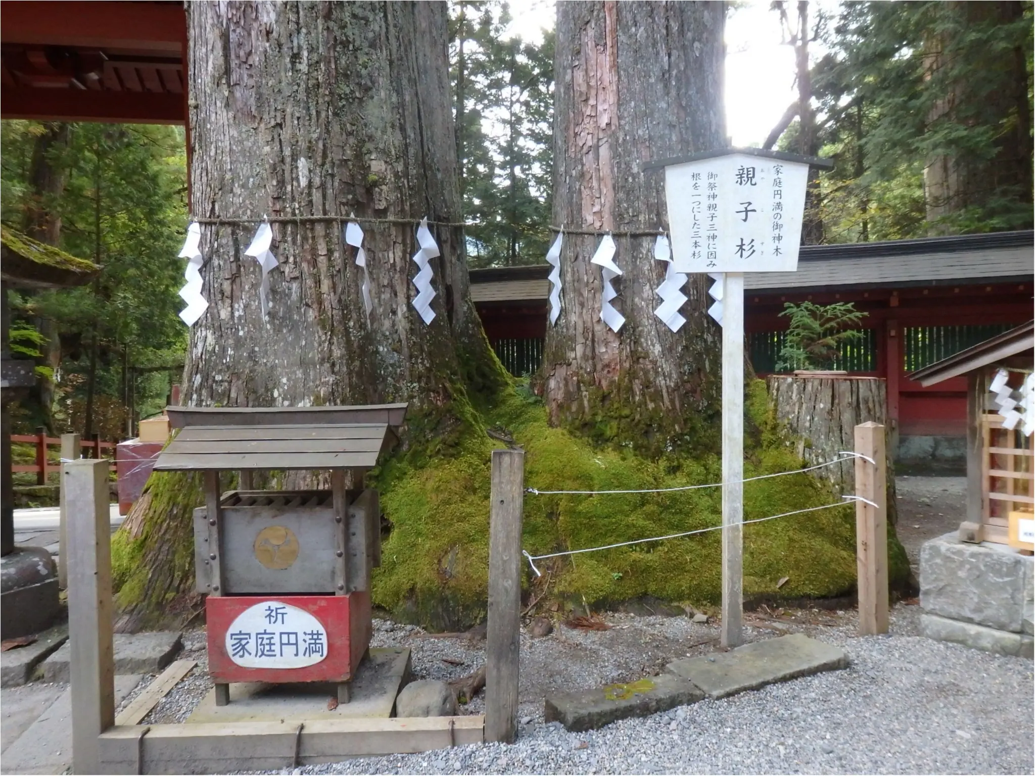 【知らなかった!】日本一楽しめる神社へ潜入してみた_13
