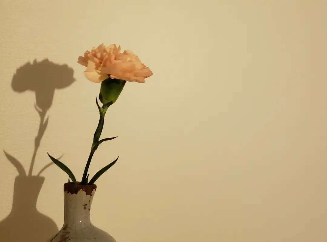 お花のある暮らし、始めてみませんか?~長持ちするおすすめのお花集~_2