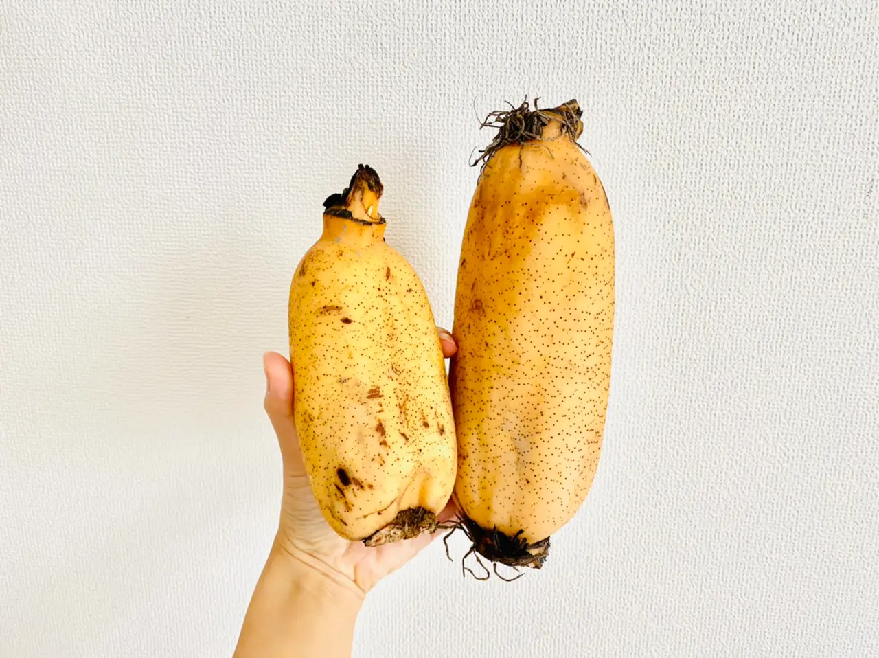 【作り置きおかず】お弁当に大活躍!1つの食材をアレンジして4品★使い切りレシピをご紹介♡〜第37弾〜_2