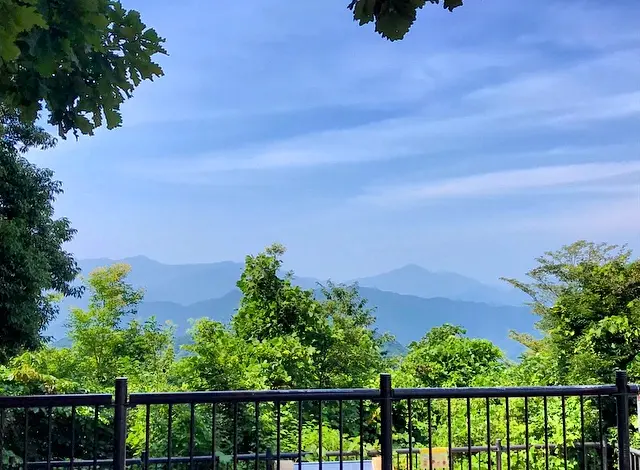 【休日の過ごし方】Go to 高尾山〜小学生ぶりに山登りしてみました〜_5