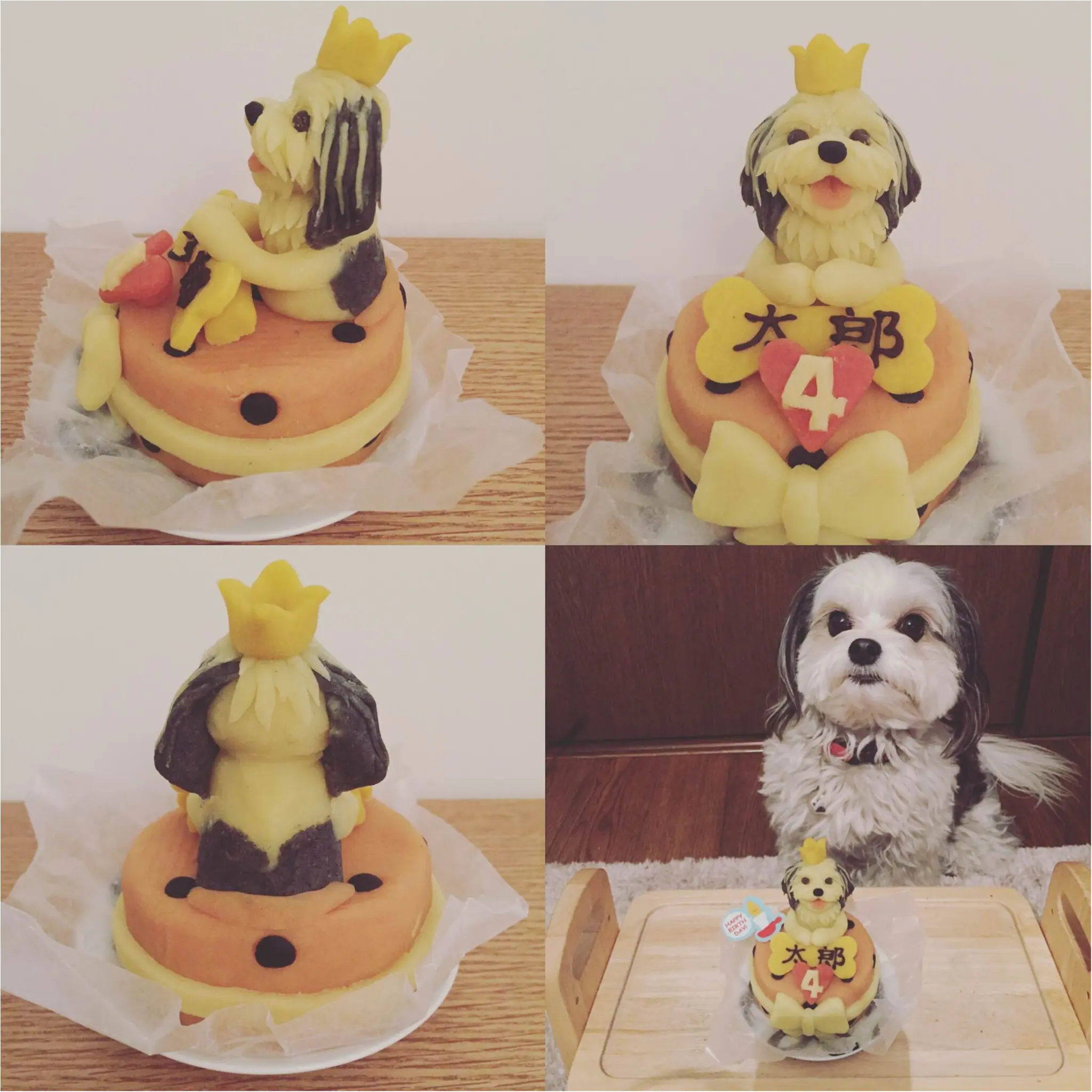 【今日のわんこ】お誕生日は特製ケーキで♡ 4歳になった太郎くん♡ _1
