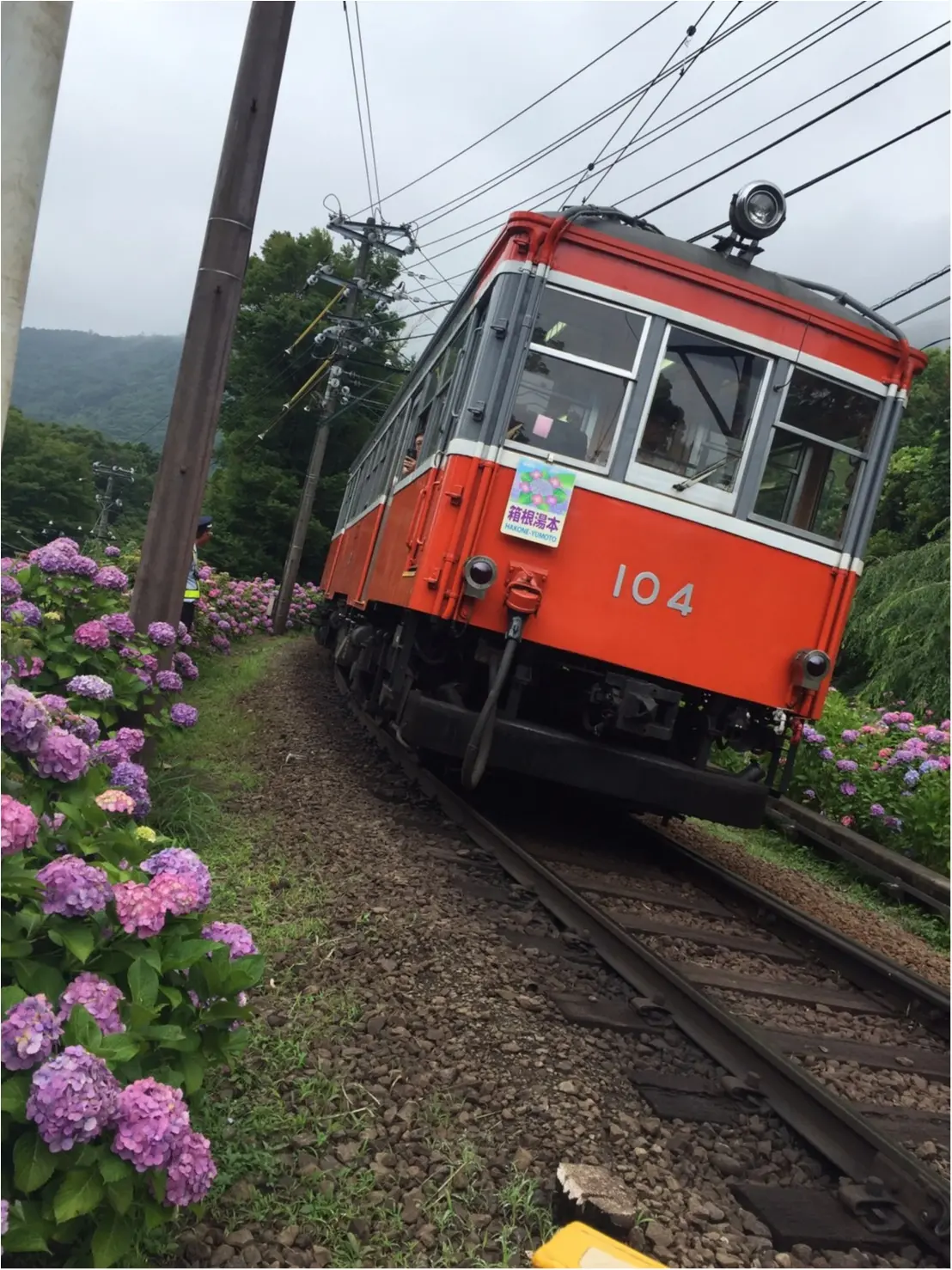 【箱根旅】綺麗すぎる紫陽花に思わず途中下車*写真を撮るなら絶対ココ!_2