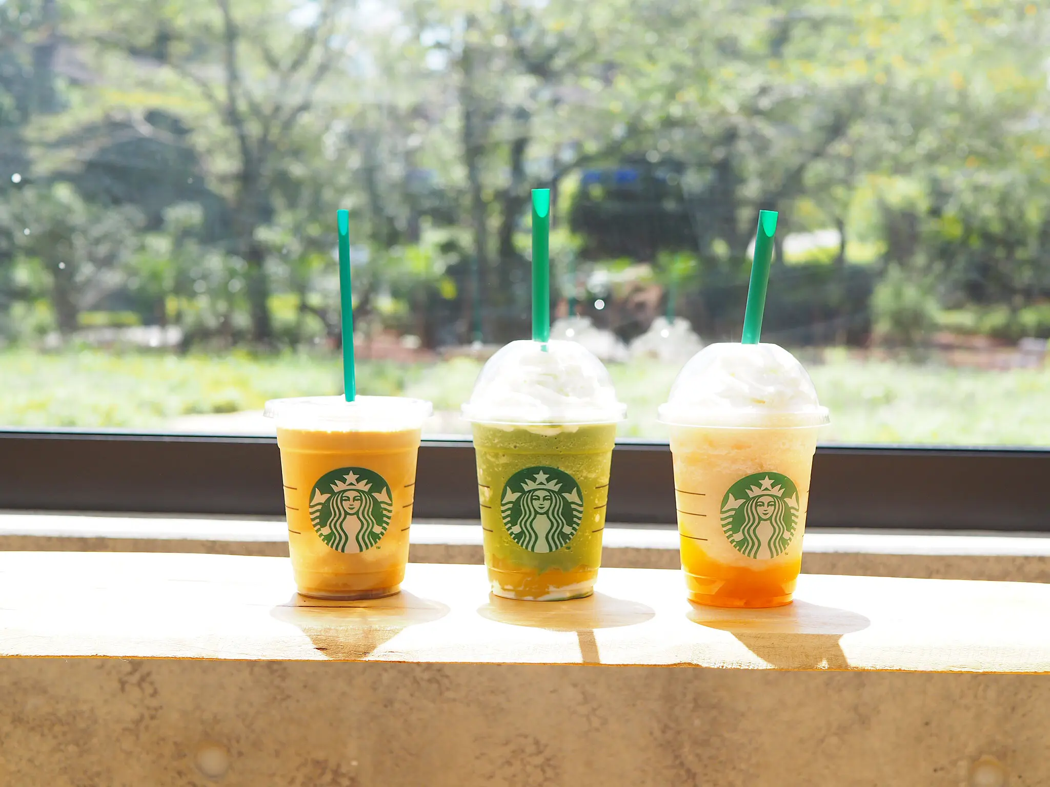 【スタバ×植物園?!】噂のスポット「HANA・BIYORI」徹底レポ!♡ 〜スタバ編〜_7