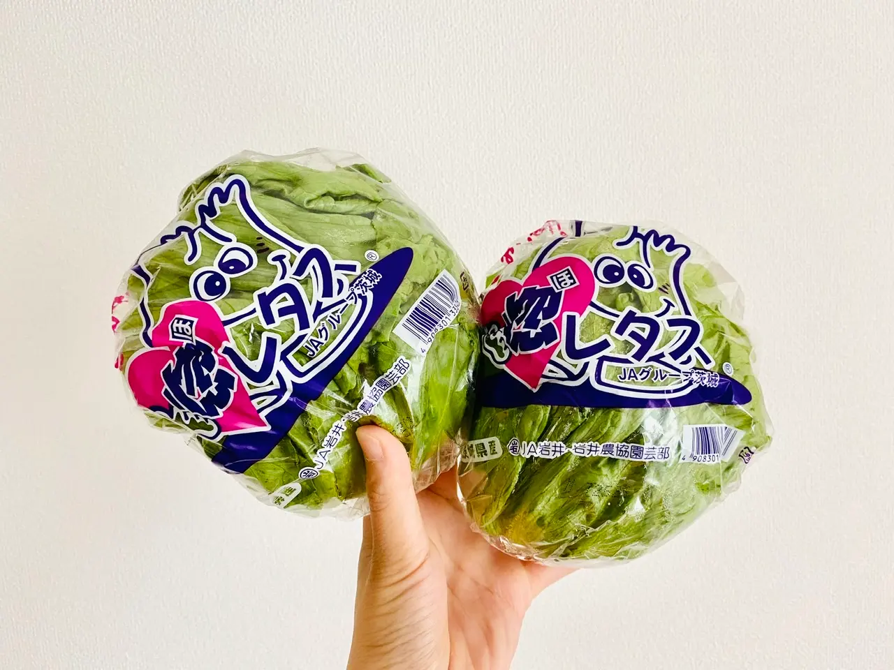 【作り置きおかず】お弁当に大活躍!1つの食材をアレンジして4品★使い切りレシピをご紹介♡〜第4弾〜_2