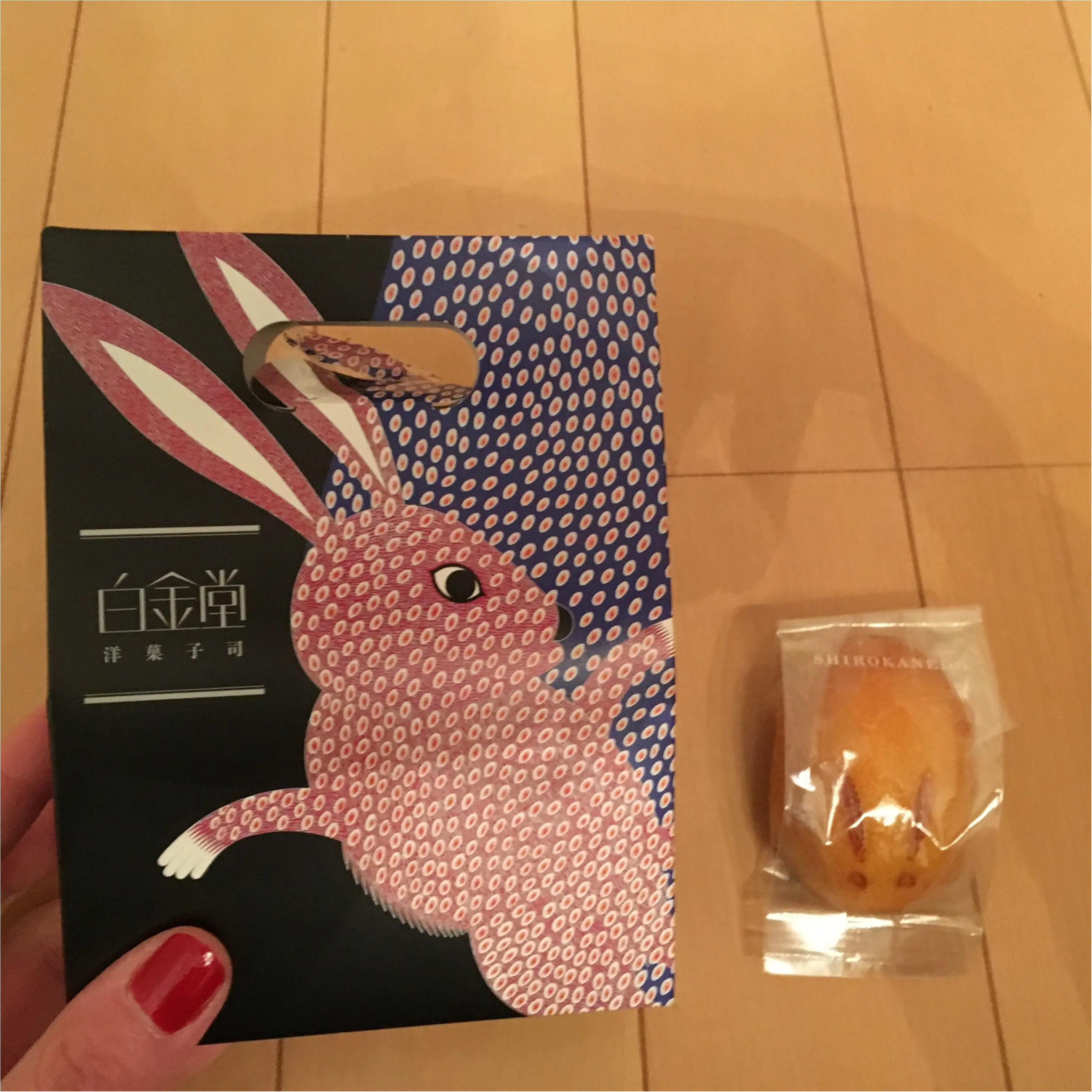 うさぎがかわいすぎる♡白金堂の兎ケーキ_1