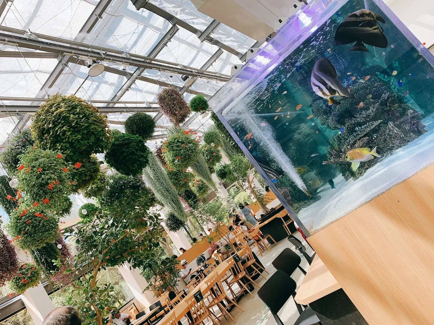 【スタバ×植物園?!】噂のスポット「HANA・BIYORI」徹底レポ!♡ 〜スタバ編〜_2