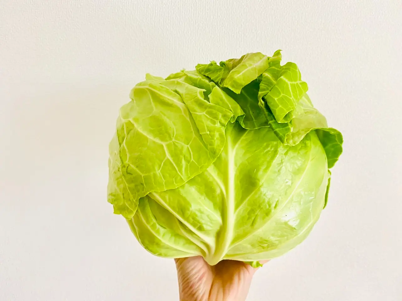【作り置きおかず】お弁当に大活躍!1つの食材をアレンジして4品★使い切りレシピをご紹介♡〜第1弾〜_2