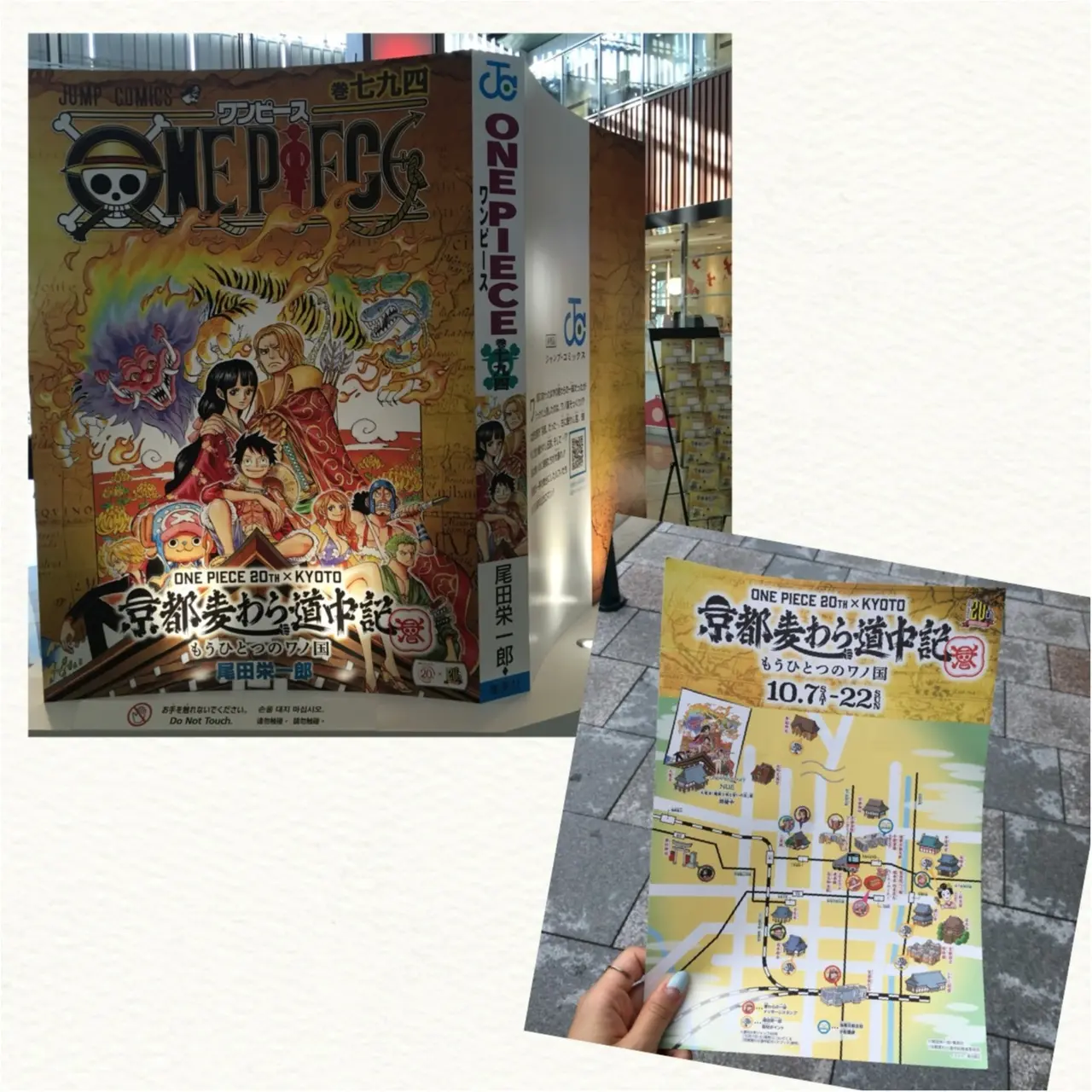期間&数量&店舗限定!売り切れ必至のワンピース×聖護院八ッ橋総本店の『チョッパーの季節外れの桜の八ッ橋』がかわいすぎる♡_1