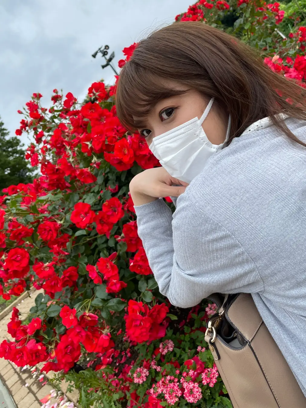 【薔薇満開】あしかがフラワーパークに行ってきました_5