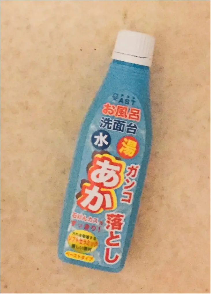 私の掃除フレンズ_5