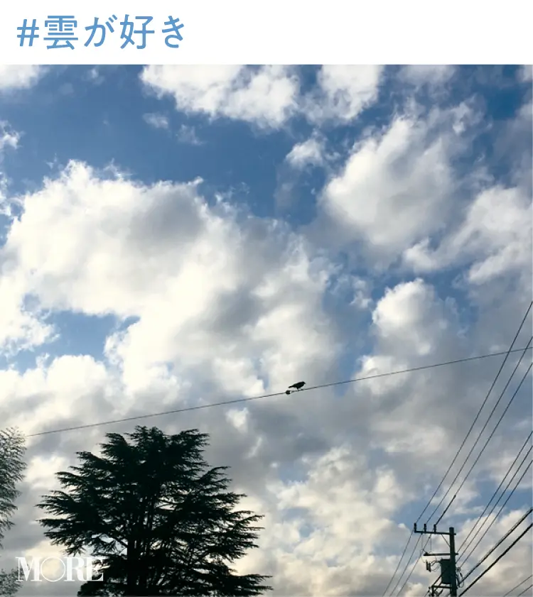 2019年 恋愛・結婚占い | 手相占い・SNS・心理テスト・浮気_11