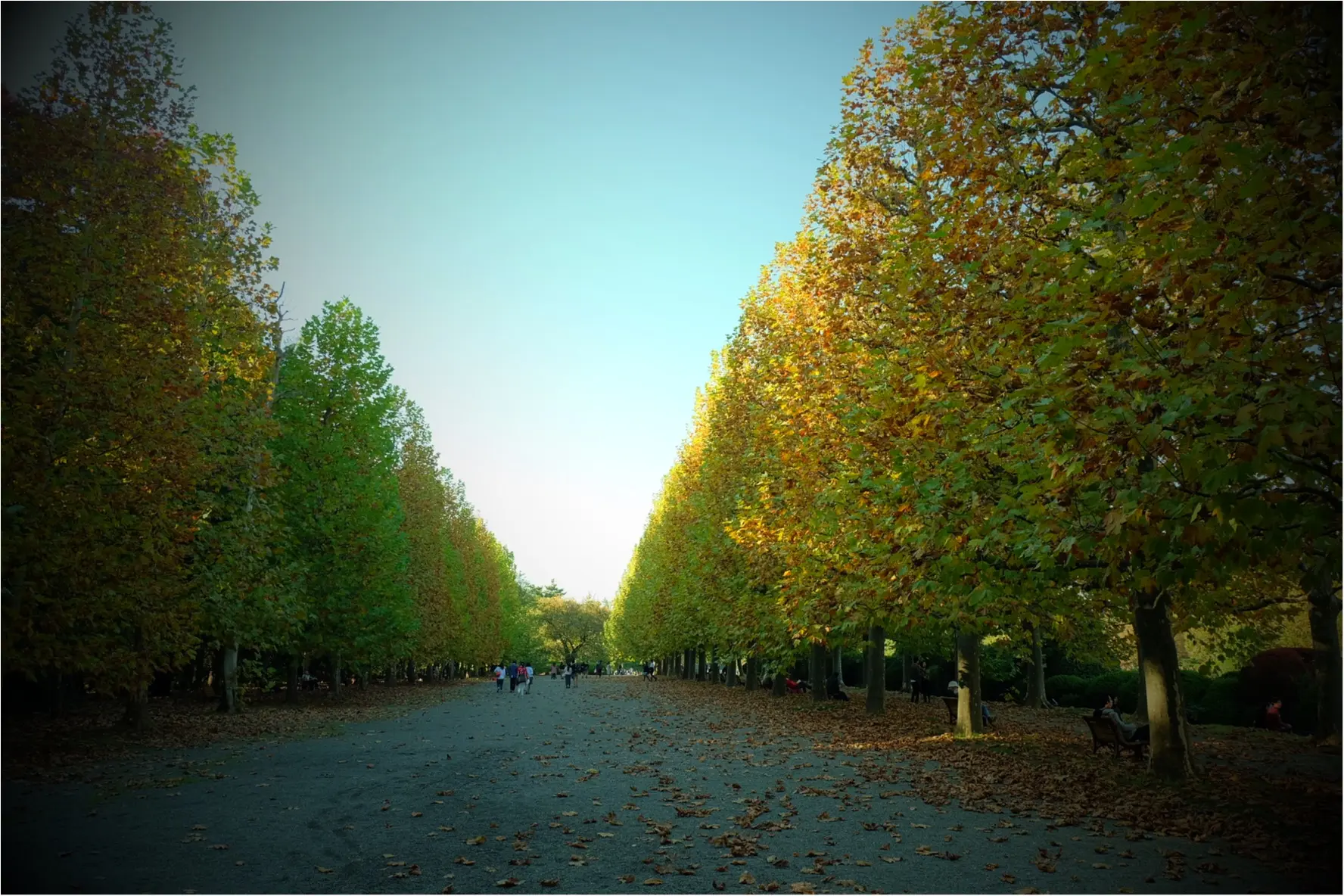 東京でも絶景の紅葉が!《新宿御苑》で秋が始められますよ〜!!フォトスポット&コーディネートも合わせてご紹介!_2