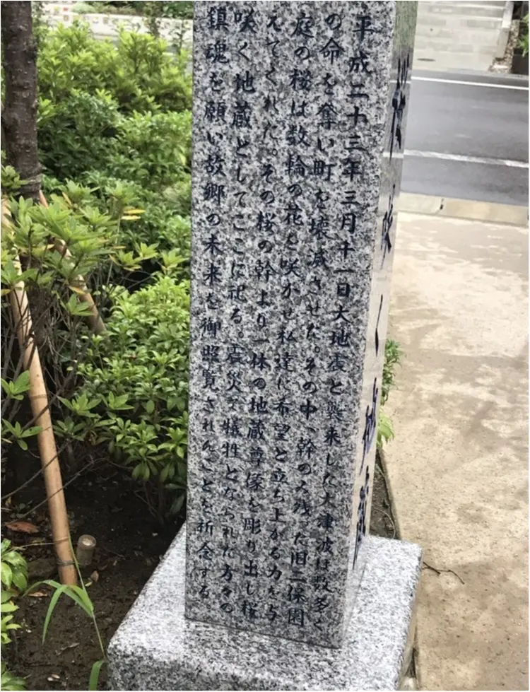 「ツール・ド・東北」本番まであと2週間! 女川で見つけた「桜咲く地蔵」について。【#モアチャレ ほなみ】_2