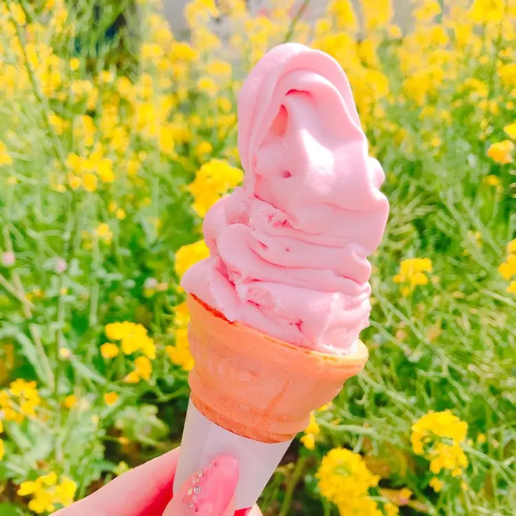 今が見頃❤︎3月なのに桜を楽しめる!河津桜を見に行ってきました*・゜゚・*:.。..。.:*・_4