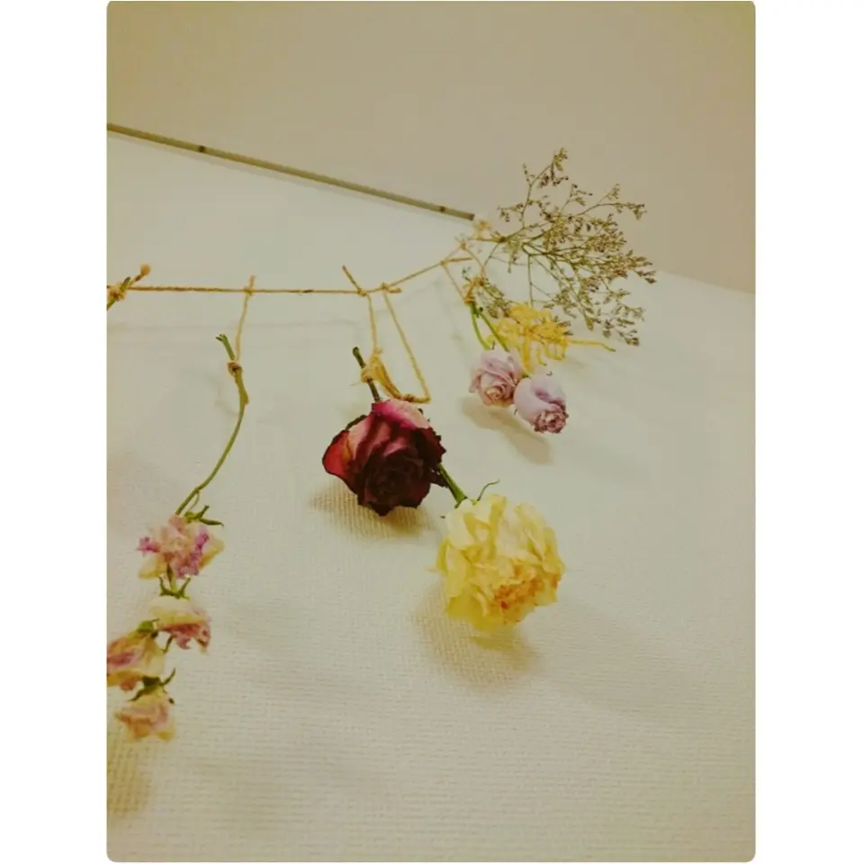 《部屋の中から女度を上げる》ドライフラワーでお花を何度も愉しもう♡_8