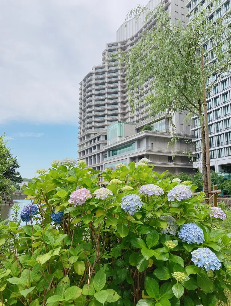 【HELLO☆June】_1
