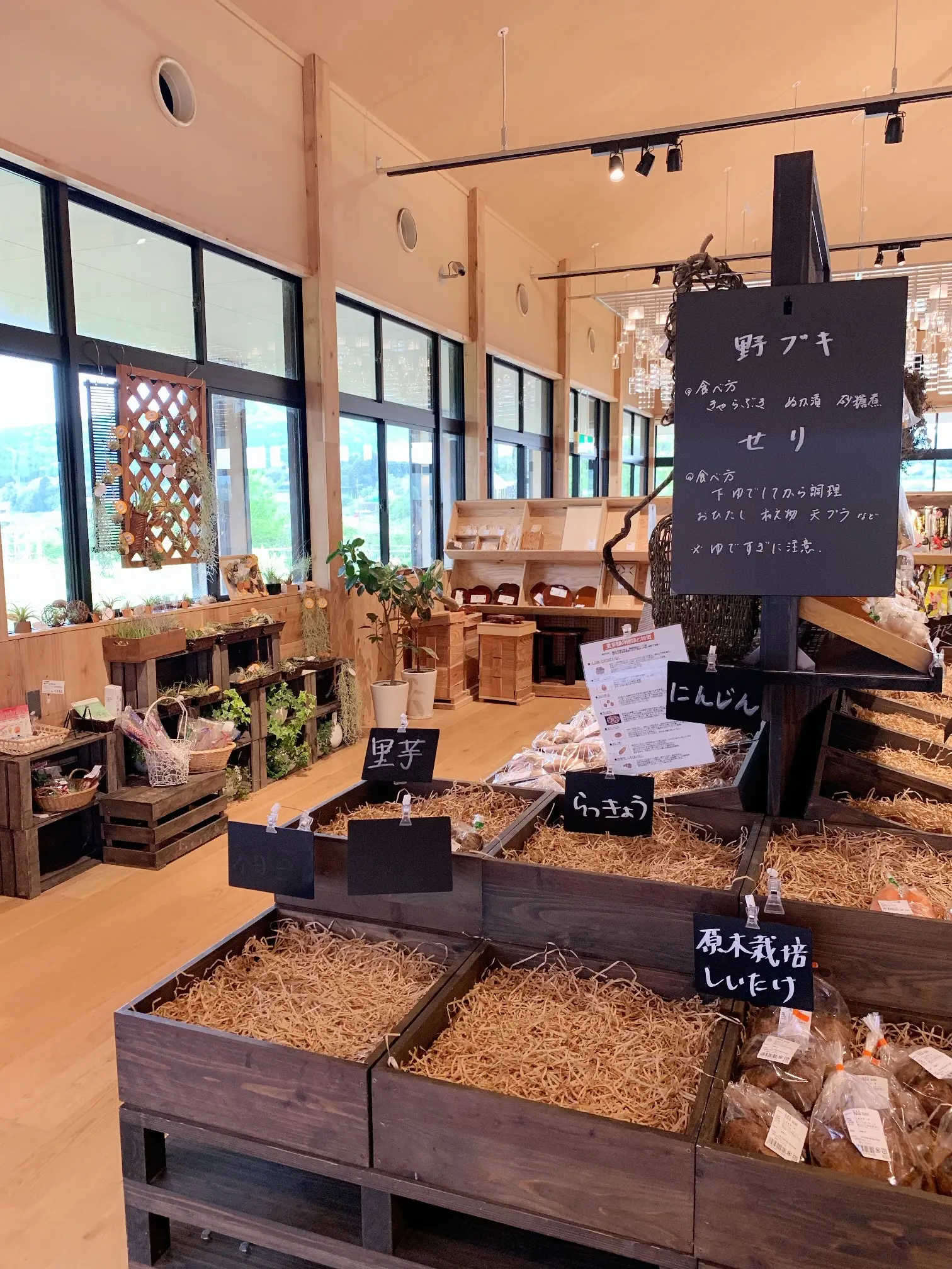 房総里山トロッコ列車の旅と、無印良品の「里のMUJIみんなみの里」へ☆ 【 #TOKYOPANDA のご当地モア・千葉県編】_6