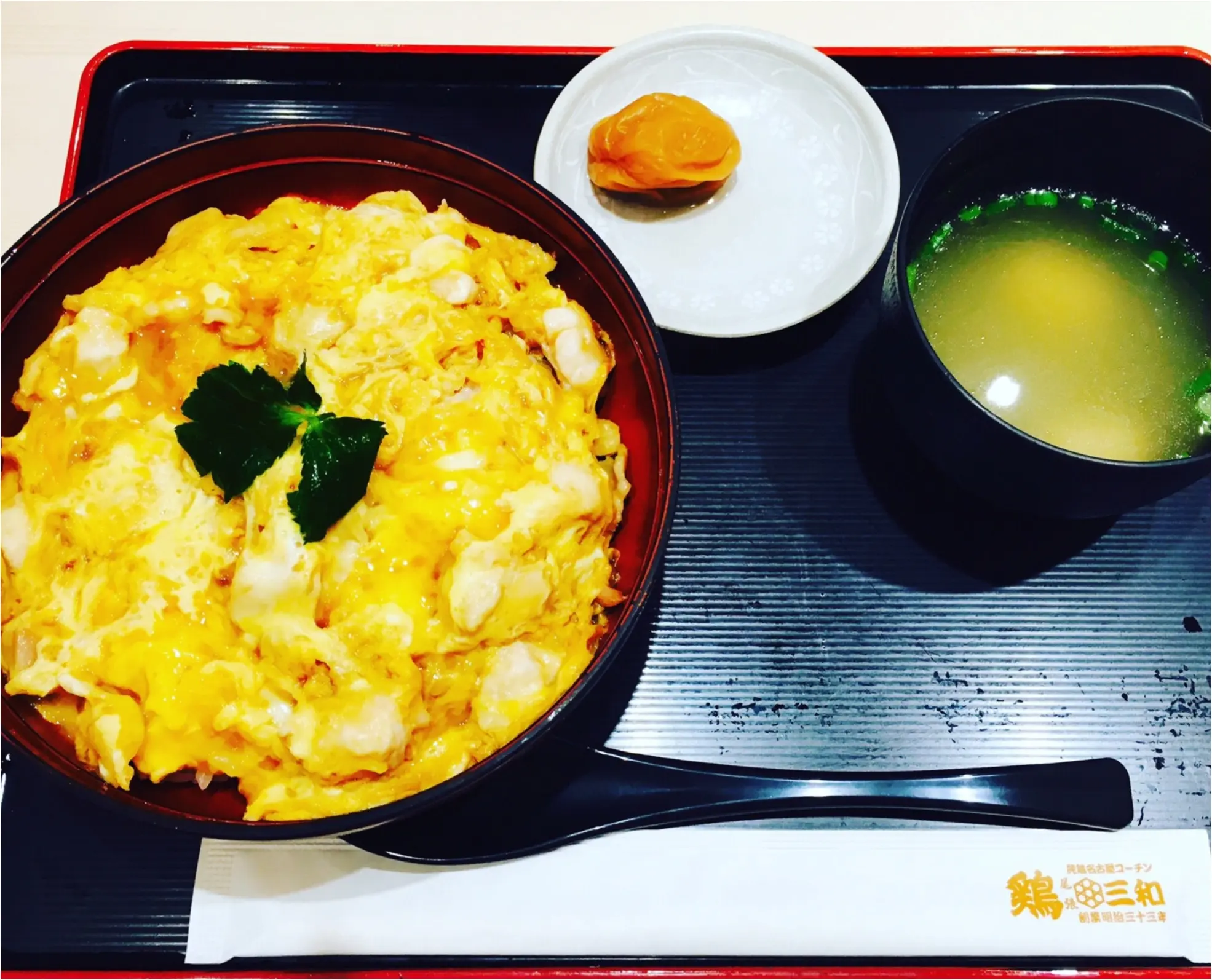 【鶏三和】の≪名古屋コーチン親子丼≫が美味しすぎる!期間限定の≪月見鶏そぼろ親子丼≫もオススメ!_1