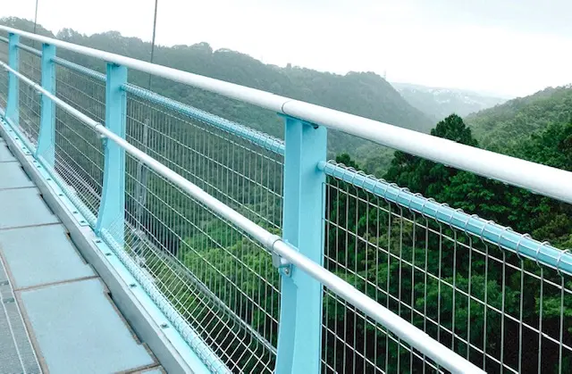 【三島スカイウォーク】絶景!だけじゃない!紫陽花めぐりで〆はスイーツ♡_2