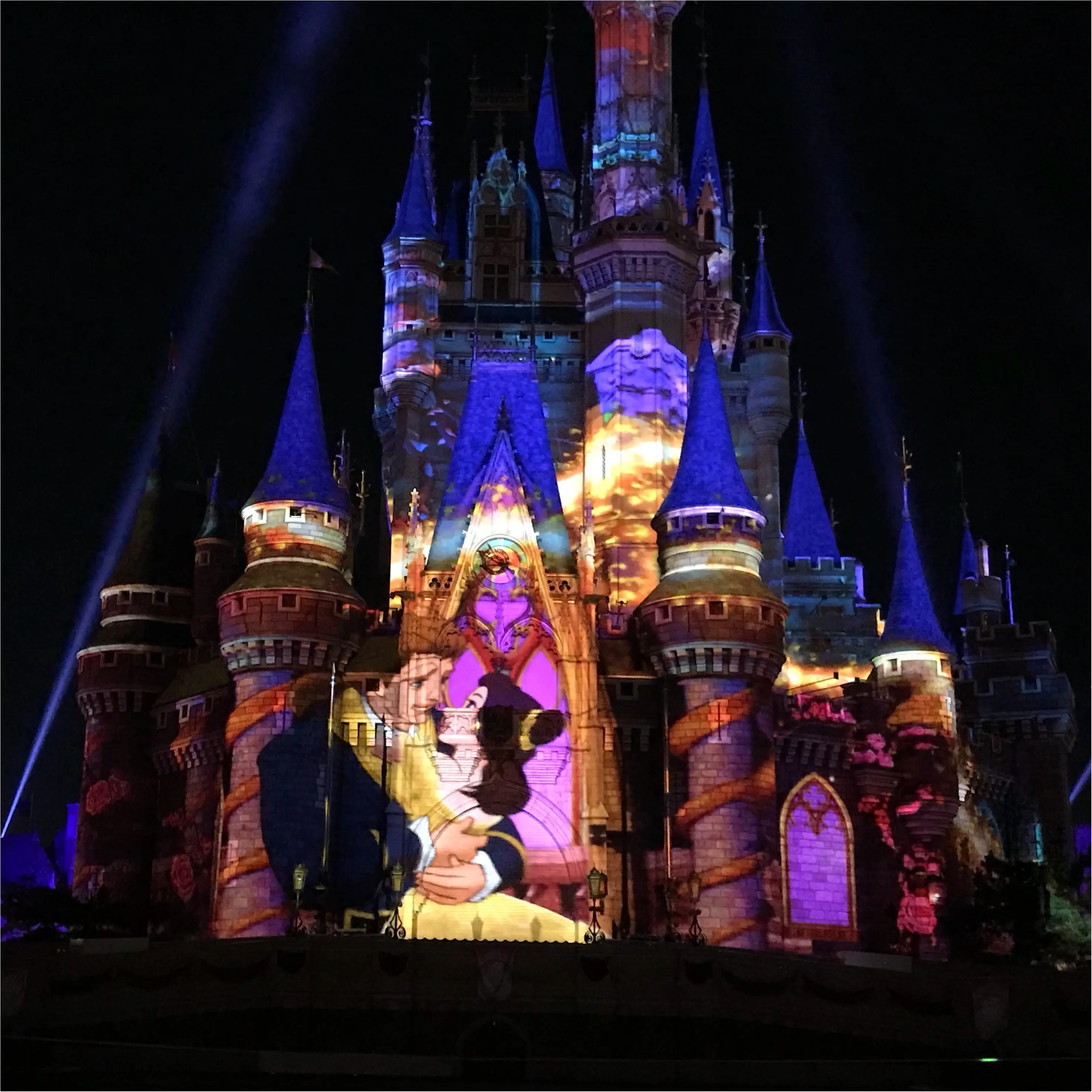 【Celebrate!Tokyo Disneyland】に当選したら絶対に知っておくべきポイントとは❤︎_6