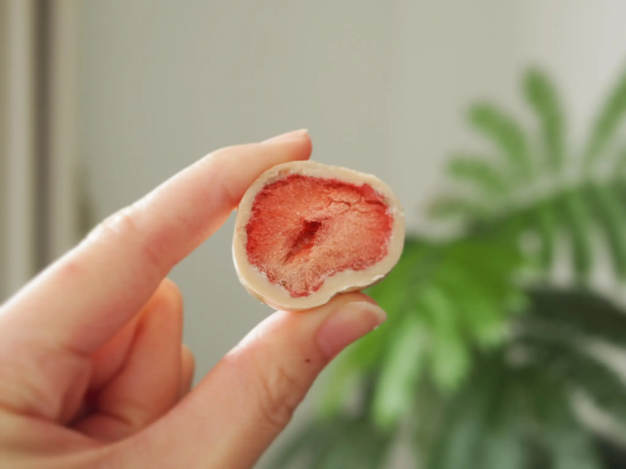 【無印良品】で大人気!❤︎《不揃いチョコがけいちご》に新しい味が登場…!!_5