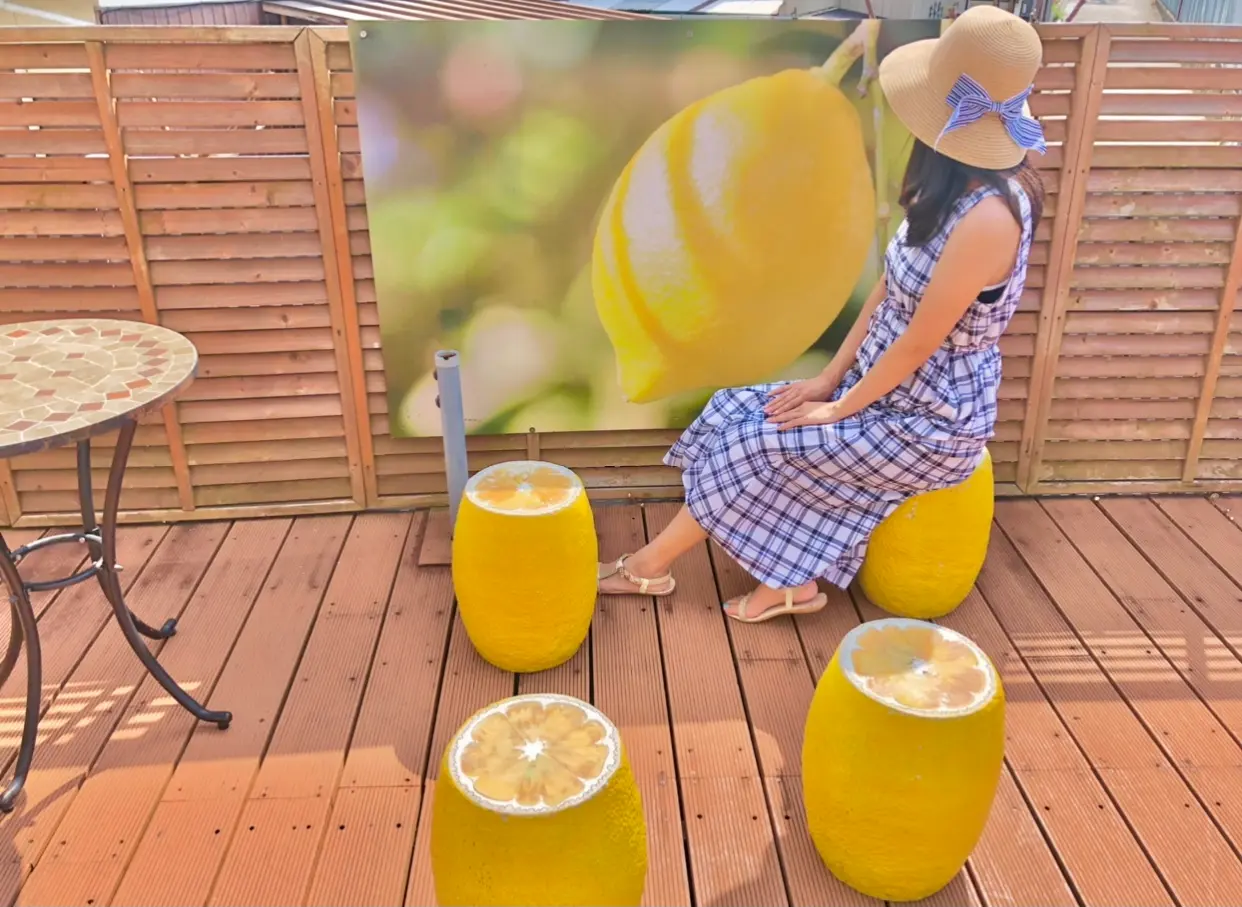 【女子旅でいくならここ】可愛すぎるネコとレモンの街、尾道 後編_3