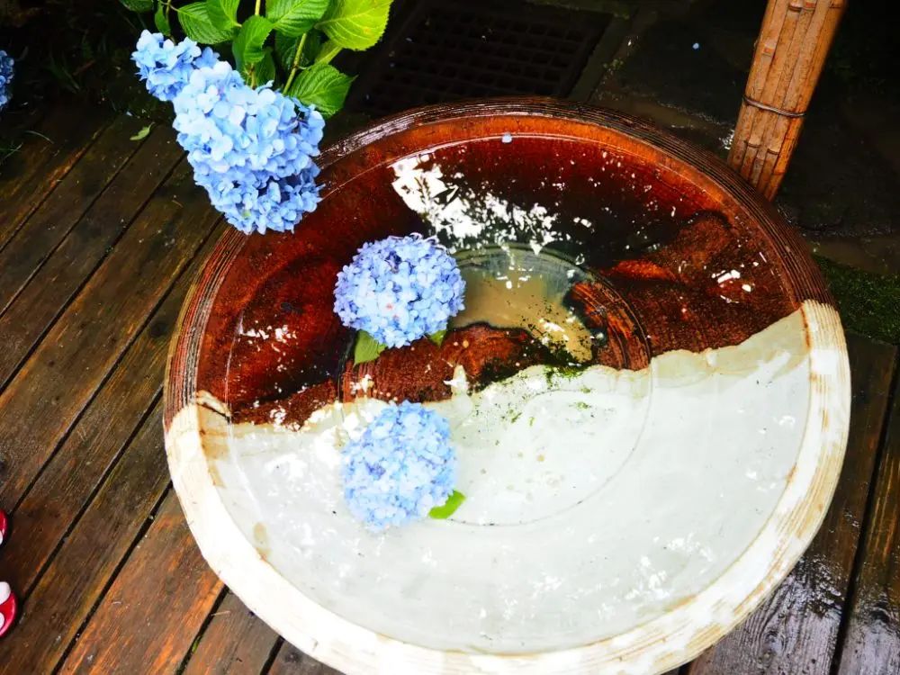 鎌倉の紫陽花名所特集 - 人気のあじさい寺「長谷寺」「名月院」などおすすめスポット_38