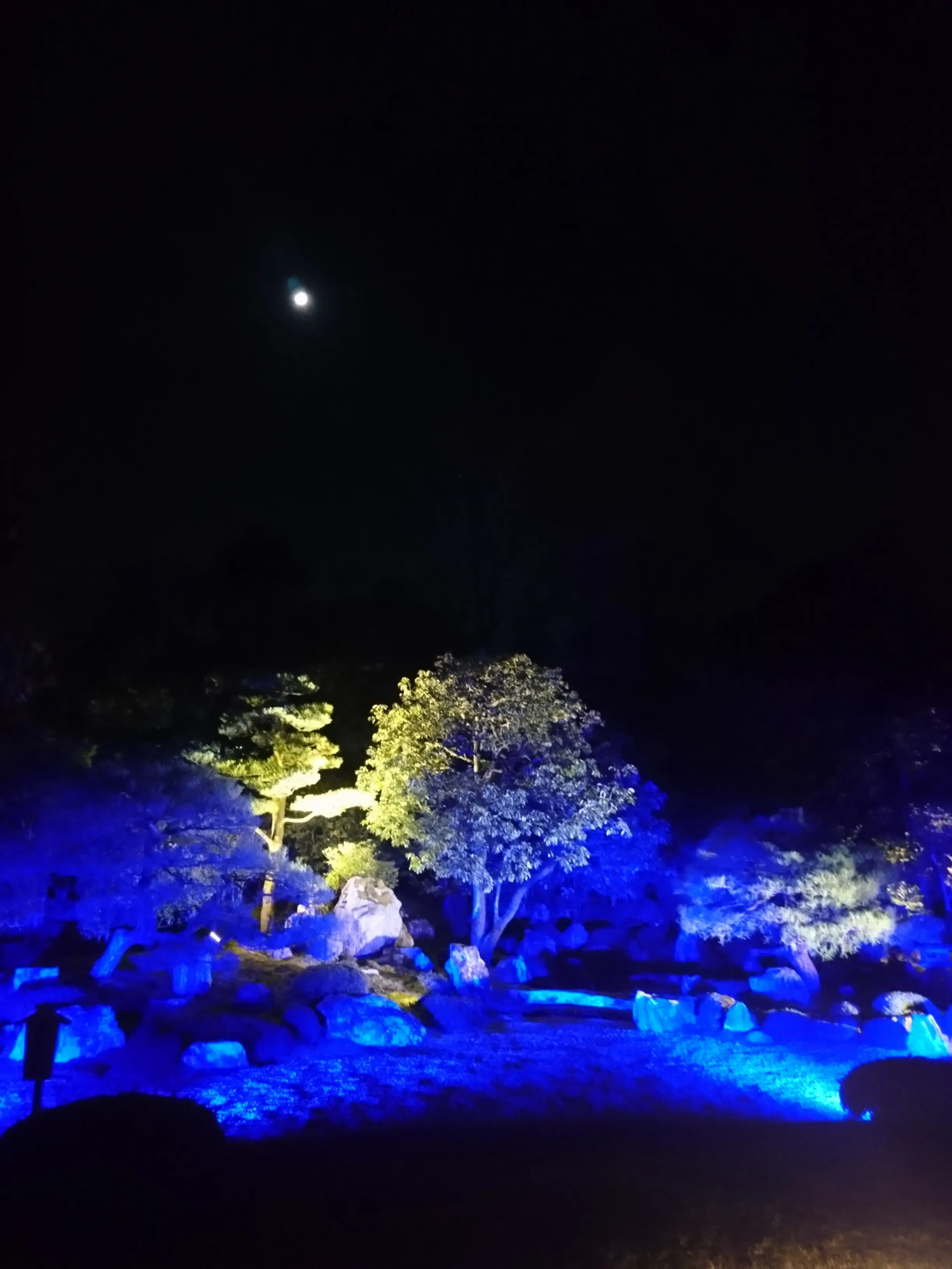 ≪京都・知恩院≫2年ぶり特別公開&ライトアップされた三門は圧巻☆_2