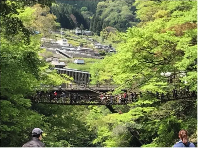 【一度は行きたい日本の絶景】徳島・祖谷のかずら橋_8