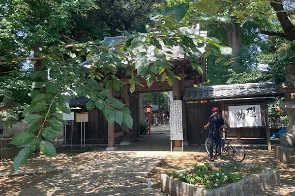 都会のオアシス!【等々力渓谷】で渓谷さんぽ_10