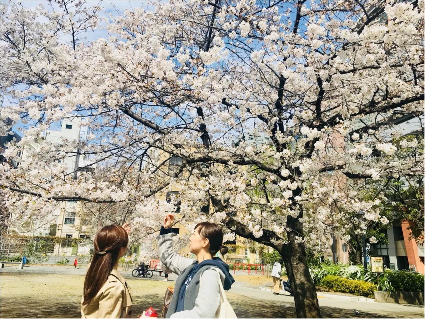 記念日に?ご褒美に?ホテル女子会やりました!_2