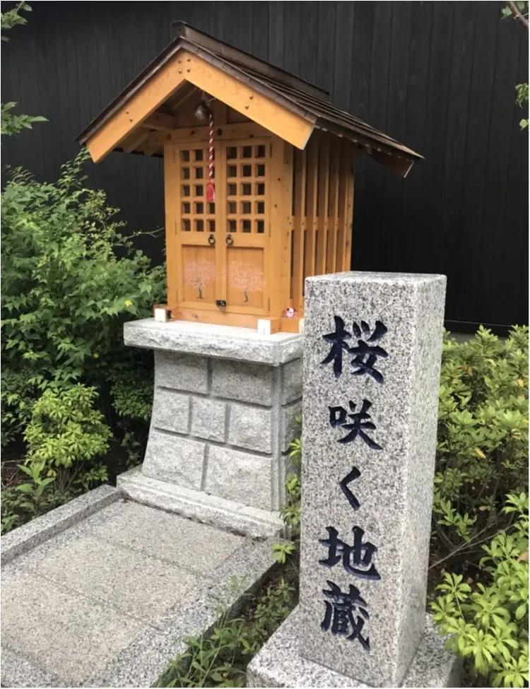 「ツール・ド・東北」本番まであと2週間! 女川で見つけた「桜咲く地蔵」について。【#モアチャレ ほなみ】_1