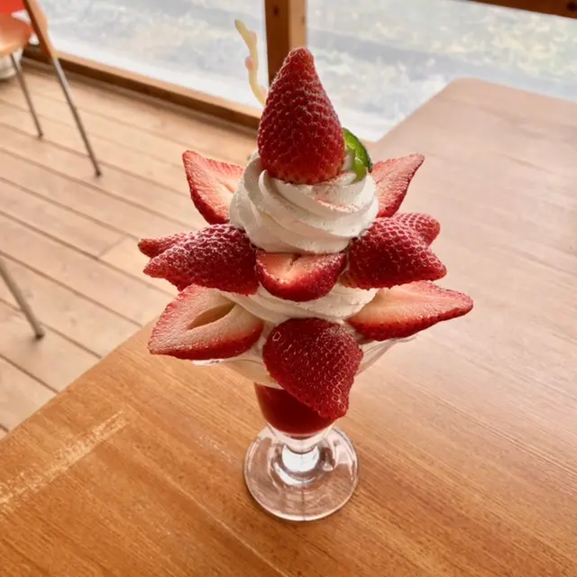 【おすすめのいちごスイーツ】❤︎いちごパフェもいちご狩りもどちらも楽しめる贅沢スポット_3
