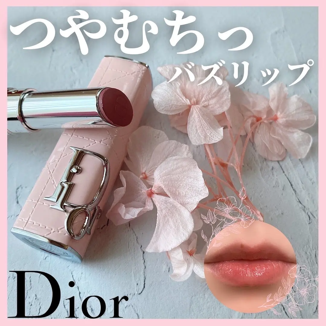 Dior ディオール アディクト リップケース クリスマス チュイルリー - 口紅