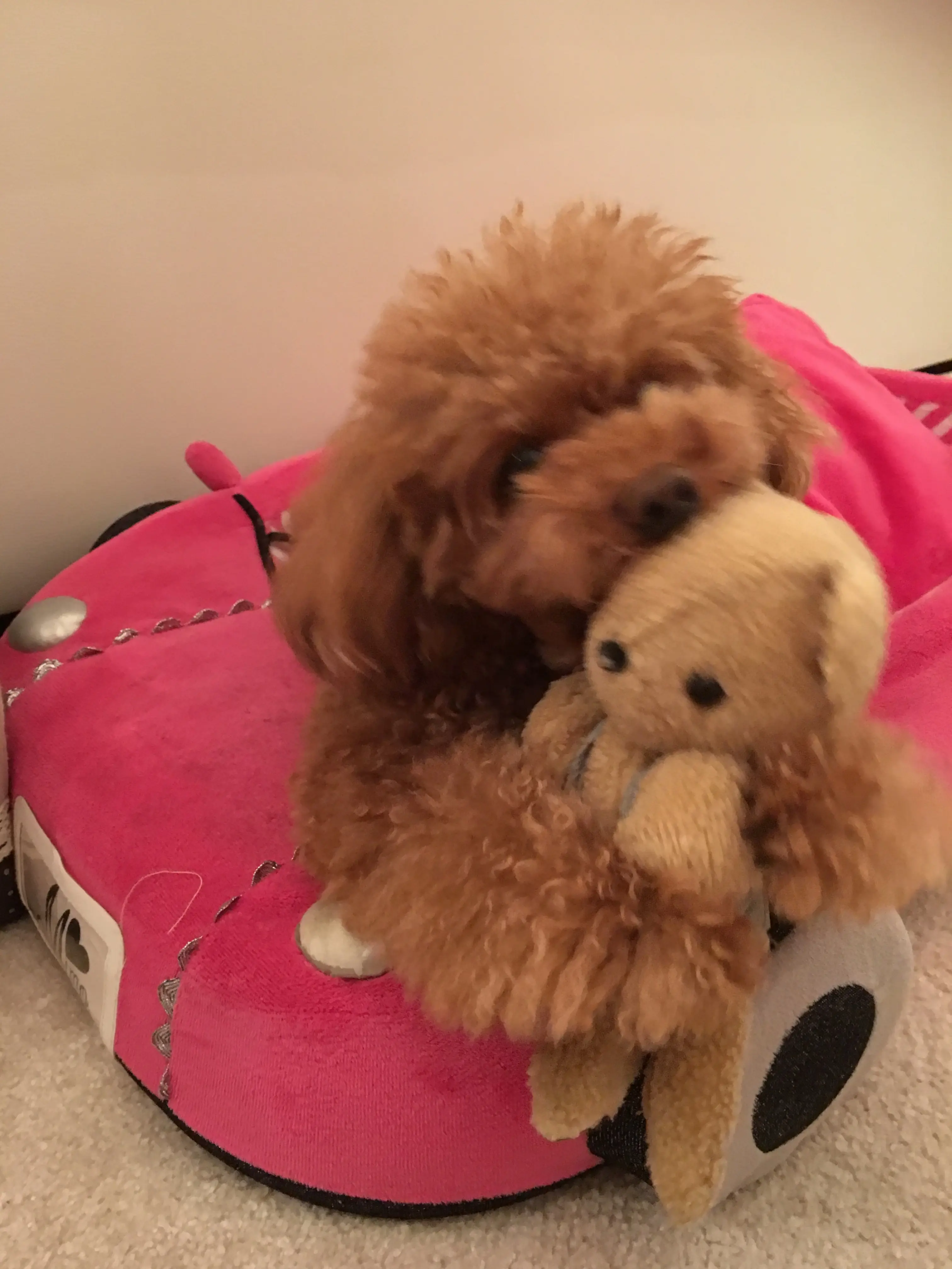 ♡ほのぼの癒しのまるこ♡モアハピ◡̈のぞみ♡_4