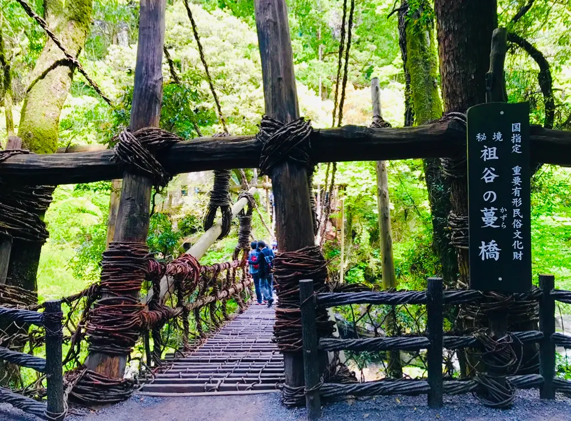 女子旅におすすめ 徳島県に来たら外せない 癒しの絶景スポット 祖谷のかずら橋 Moreインフルエンサーズブログ Daily More