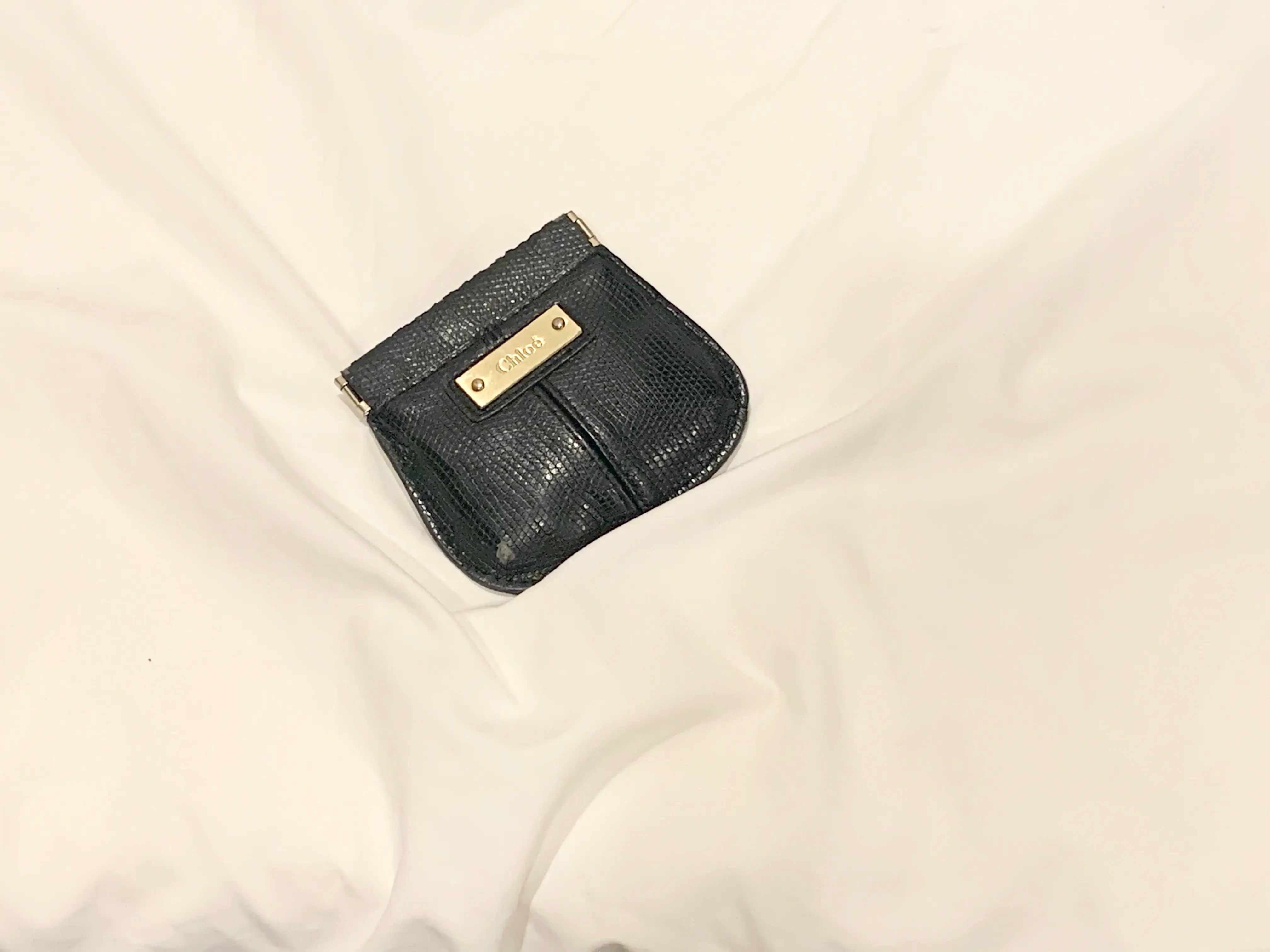 【20代女子の愛用財布】♡Louis Vuitton×Chloe♡_2