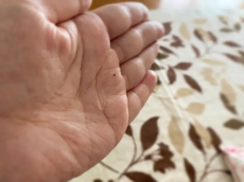 さわって〜と言いたくなるくらいのうるツヤ肌へ。世界初!乳酸発酵ヒアルロン酸入りの極潤PREMIUMをお試し!_5