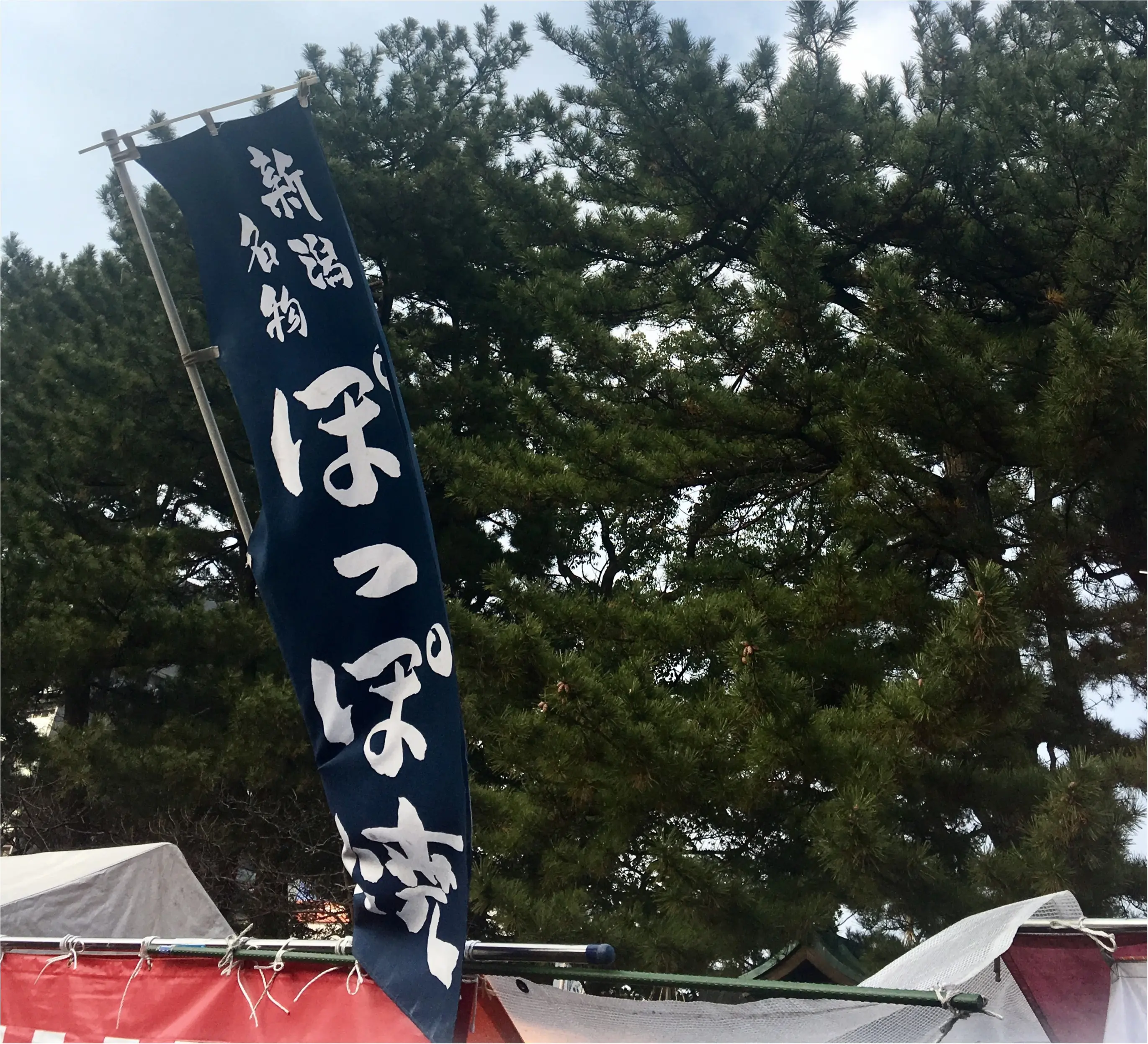 【旅行▶グルメ】もう東京駅でも食べられないあのアイスから定番B級グルメや海の幸まで♡新潟のオススメグルメ_10