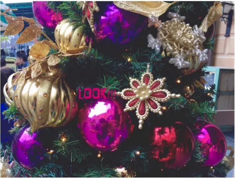 【♥︎♥︎♥︎】ホリデーシーズン真っ只中!クリスマスディズニーでおさめたい写真はこれ♡_9