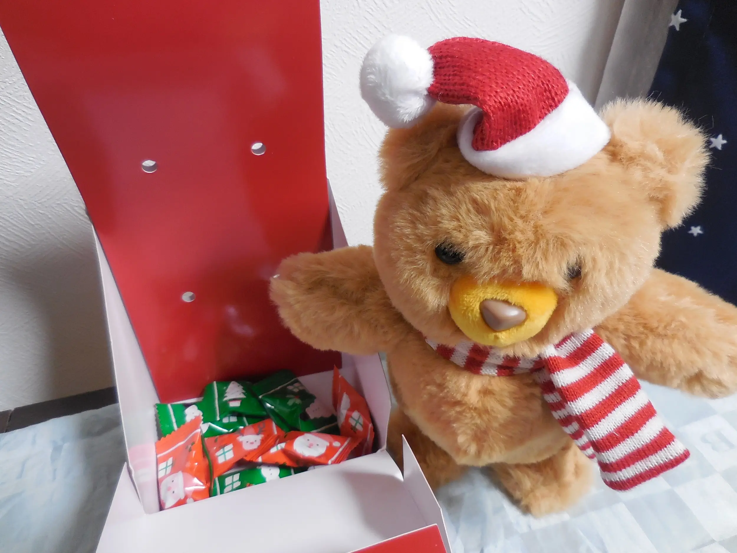 【カルディ】史上最強にかわいいクリスマストコトコベア_4