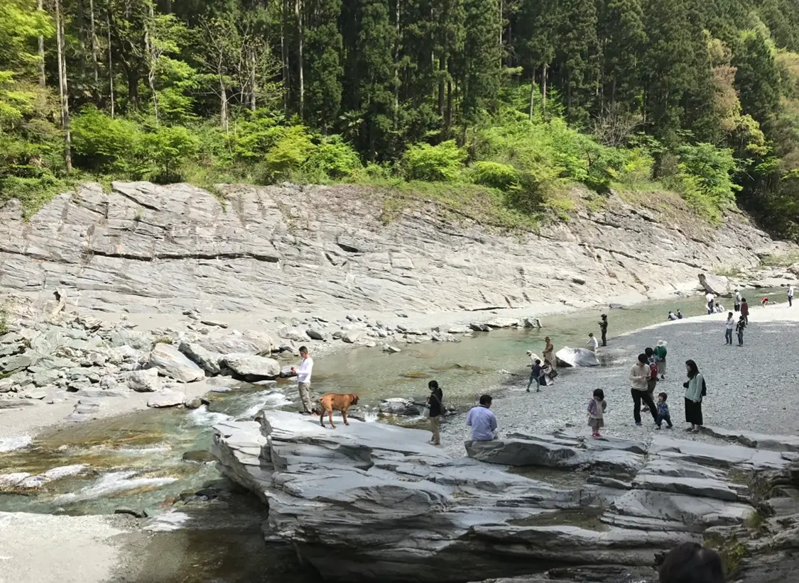 【女子旅におすすめ】徳島県に来たら外せない!癒しの絶景スポット《祖谷のかずら橋》★_5