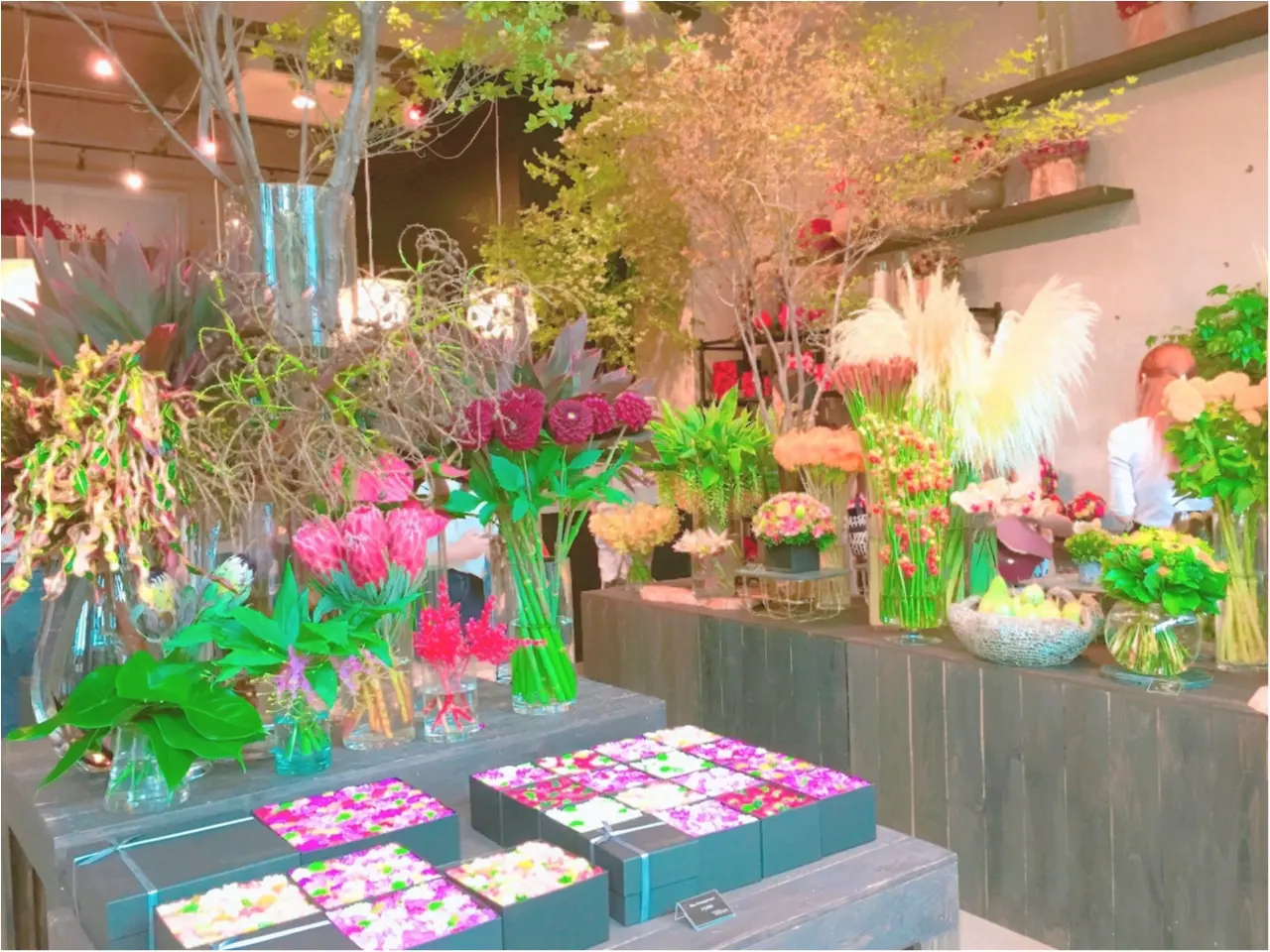 お花の空間に魅了!ニコライバーグマンのカフェがおしゃれすぎる!!_1