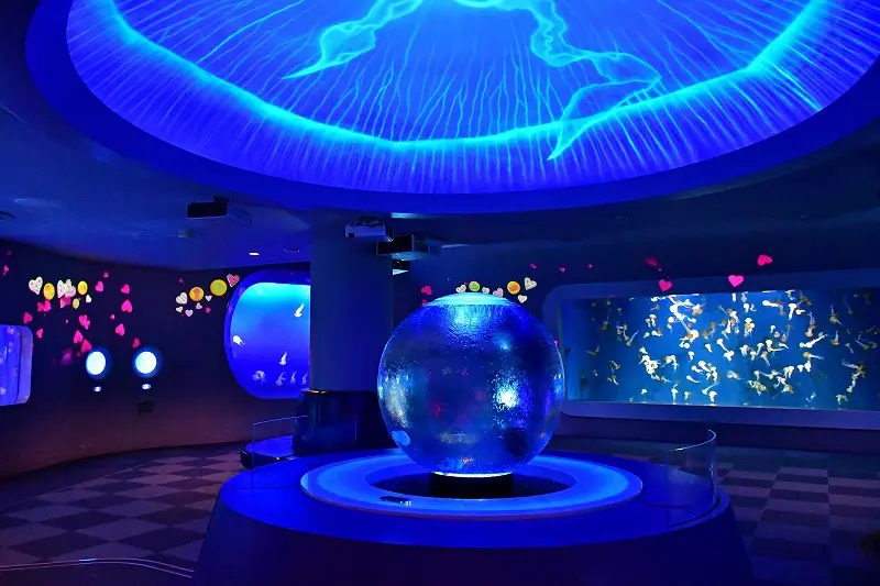新江ノ島水族館のクラゲファンタジーホールの画像