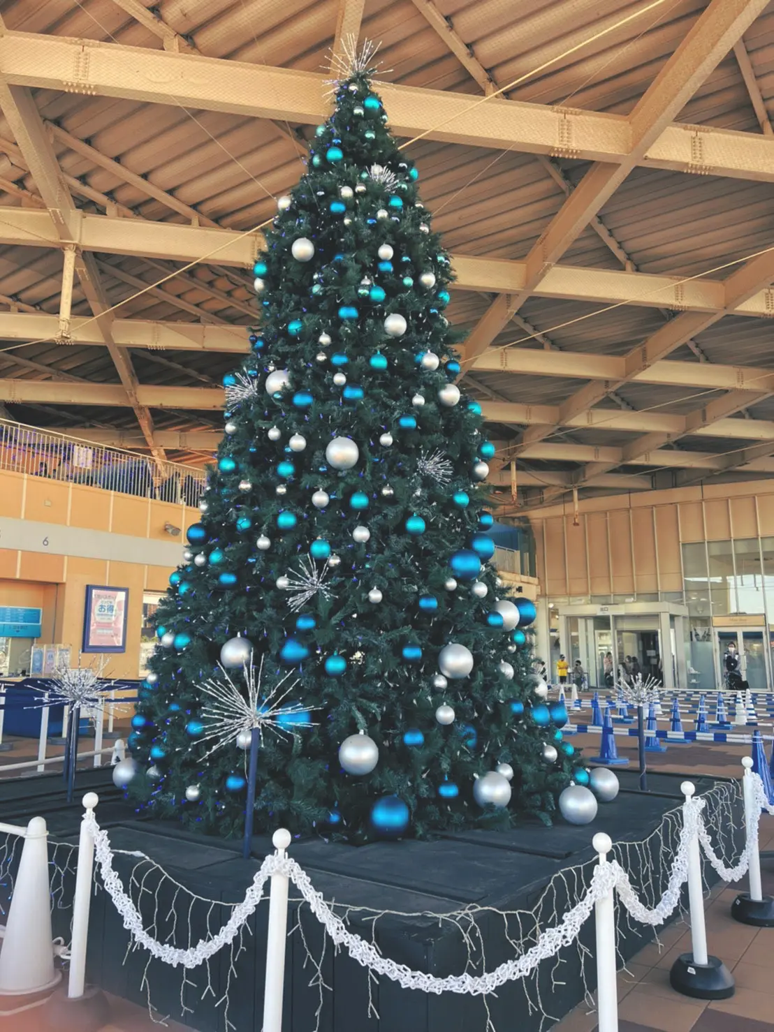 クリスマス気分 冬 クリスマス仕様の 新江ノ島水族館 が映える Moreインフルエンサーズブログ Daily More